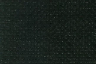 Black Thundura Fabric Swatch