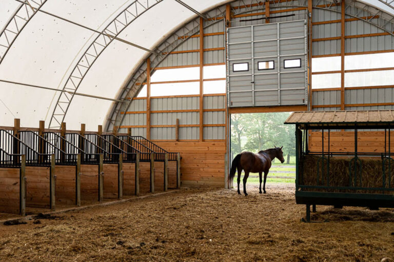 horse stalls with a horse standing in the doorway of a thundura fabric structure